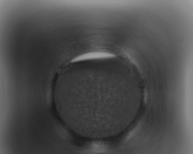 X0000089750641200706281626