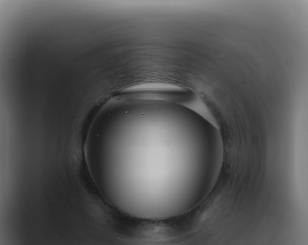 X0000089750642200706281626