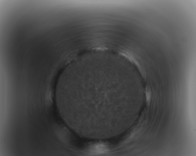 X0000089750643200706281626