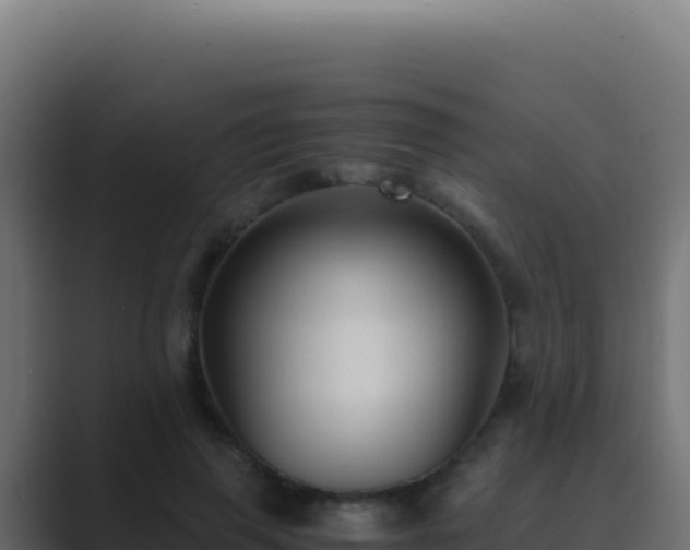 X0000089750645200706281626