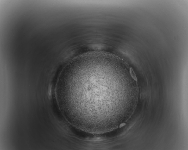 X0000089750647200706281626