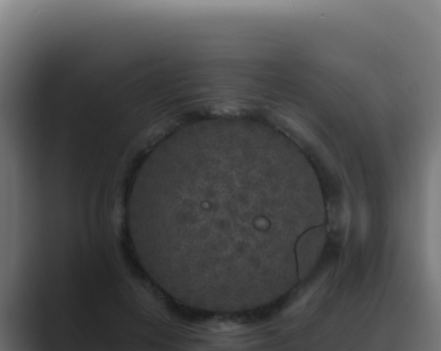 X0000089750648200706281626