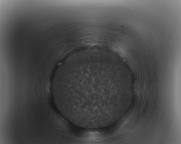 X0000089750650200706281626