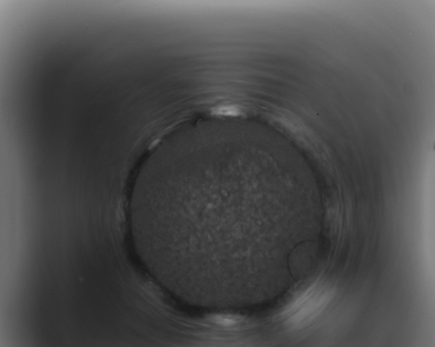 X0000089750654200706281626