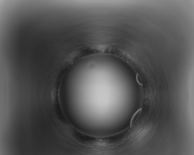 X0000089750656200706281626