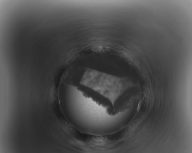 X0000089750659200706281626