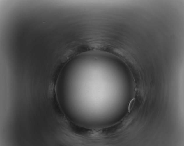 X0000089750660200706281626