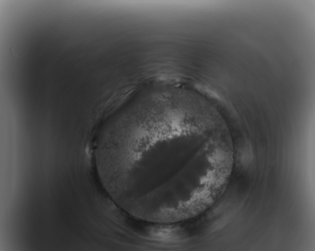 X0000089750661200706281626