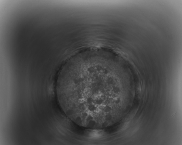 X0000089750663200706281626