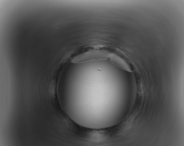 X0000089750664200706281626