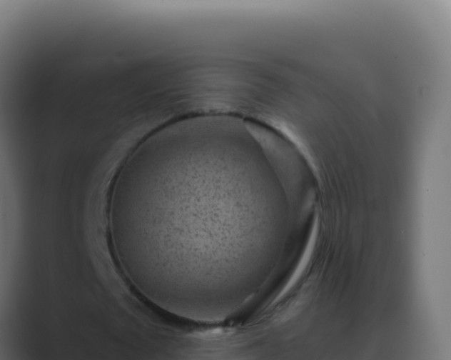 X0000089750673200706281626