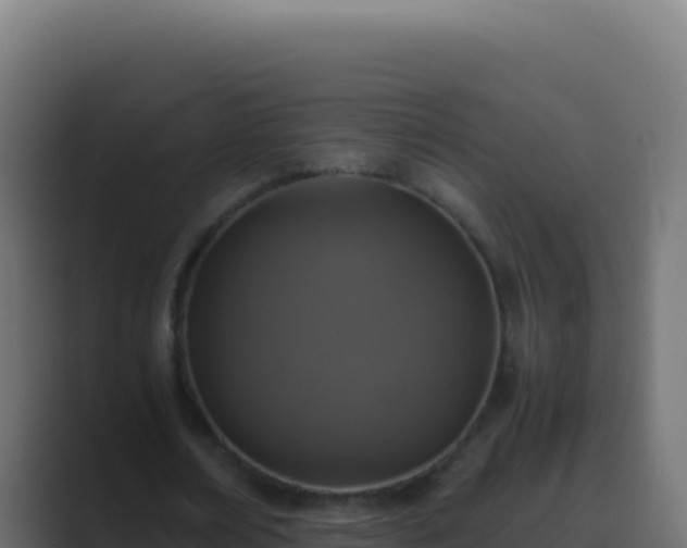 X0000089750674200706281626