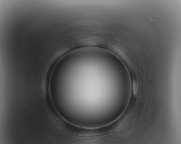 X0000089750675200706281626