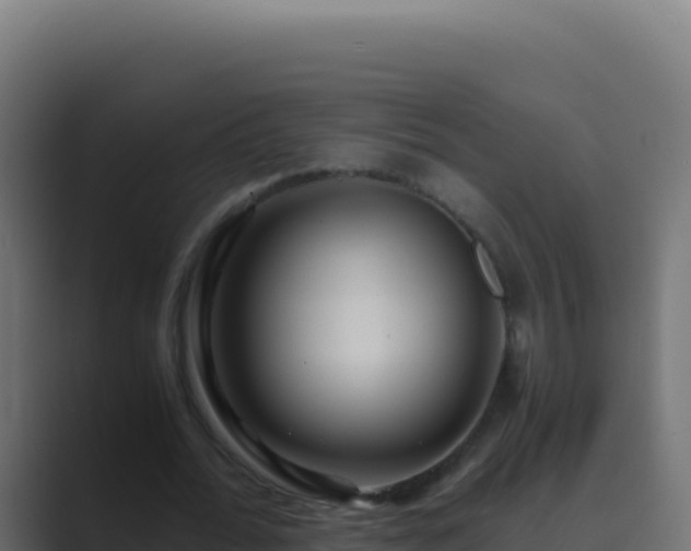 X0000089750676200706281626