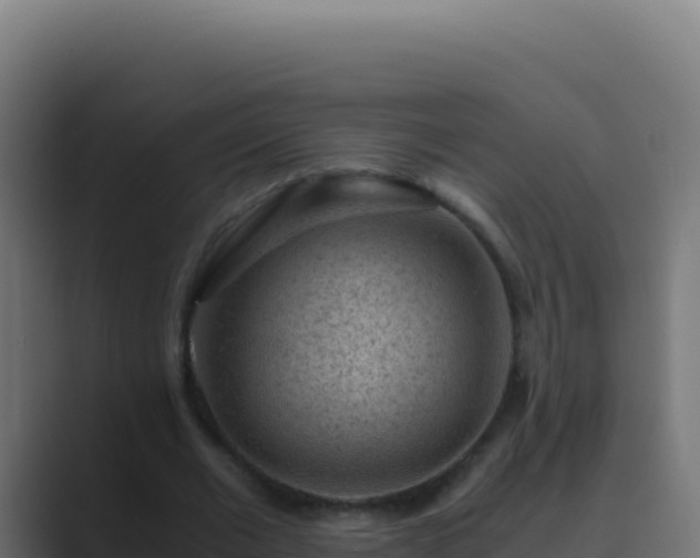 X0000089750677200706281626