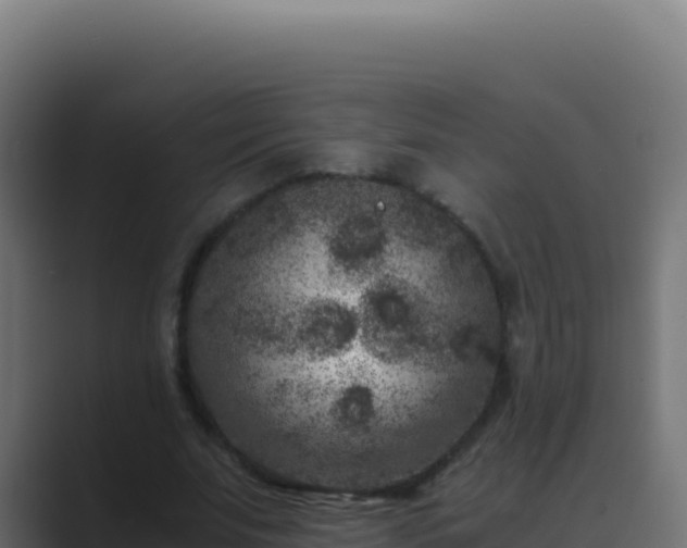 X0000089750679200706281626