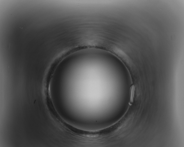 X0000089750680200706281626