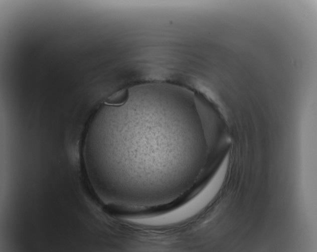 X0000089750681200706281626