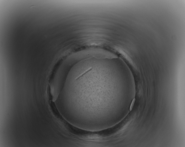 X0000089750685200706281626