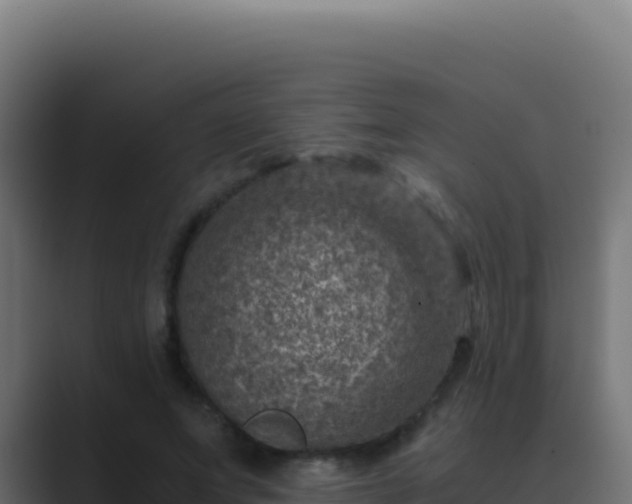 X0000089750687200706281626