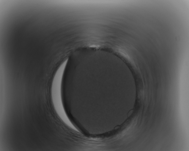 X0000089750689200706281626