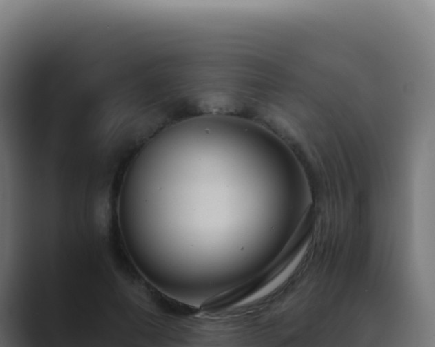 X0000089750690200706281626