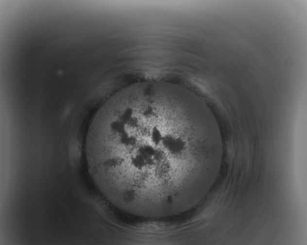 X0000089750691200706281626