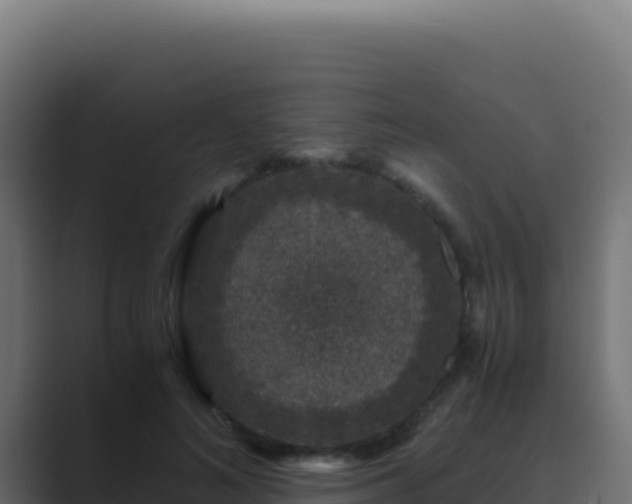 X0000089750692200706281626