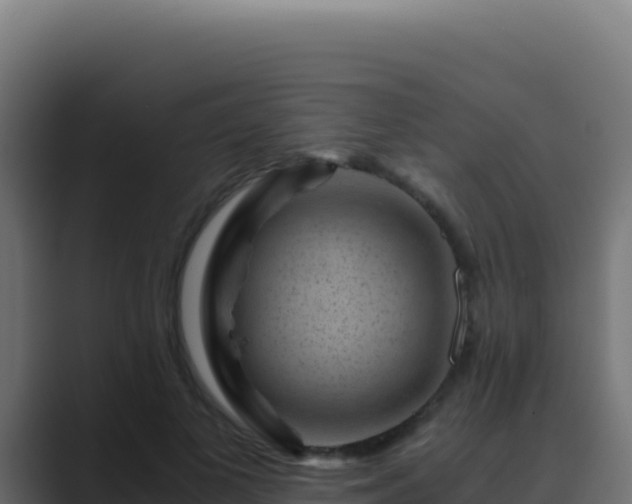 X0000089750693200706281626