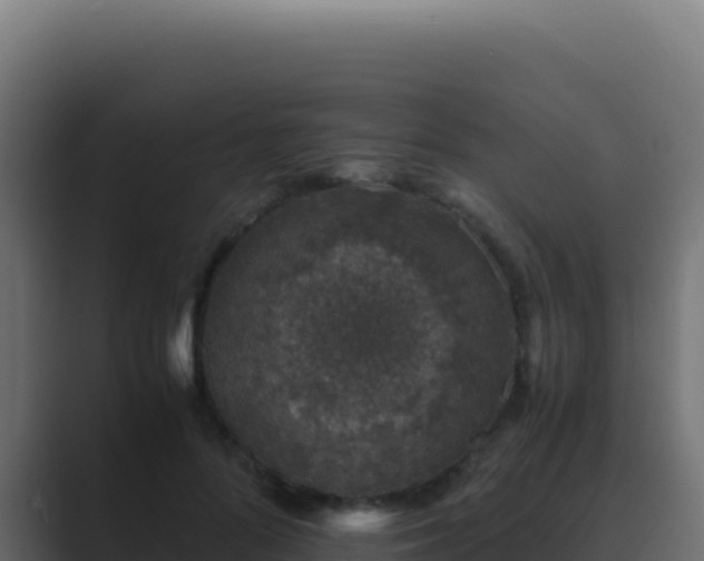 X0000089750696200706281626