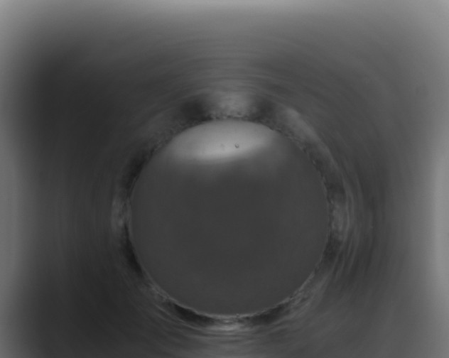 X0000089750701200706281626