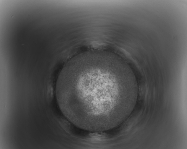 X0000089750703200706281626