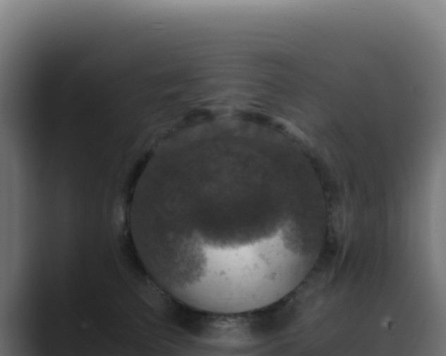 X0000089750709200706281625