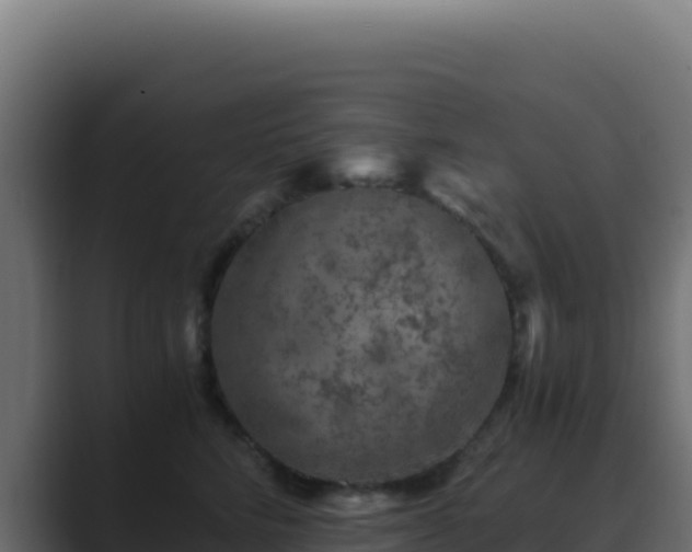 X0000089750712200706281625