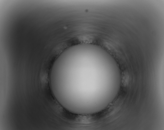 X0000089750713200706281625