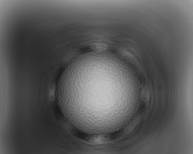 X0000089750717200706281625