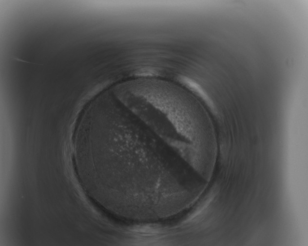 X0000089750721200706281625