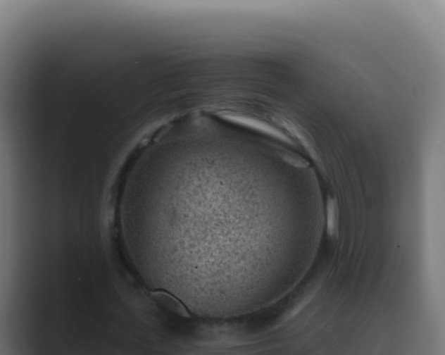 X0000089750723200706281625