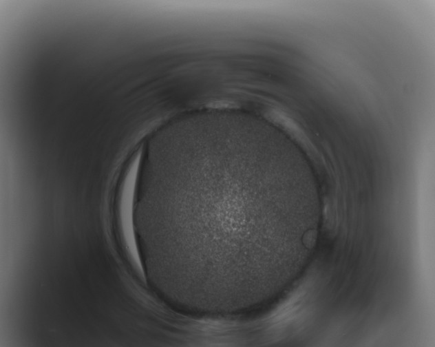 X0000089750725200706281625
