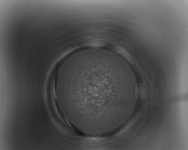 X0000089750726200706281625