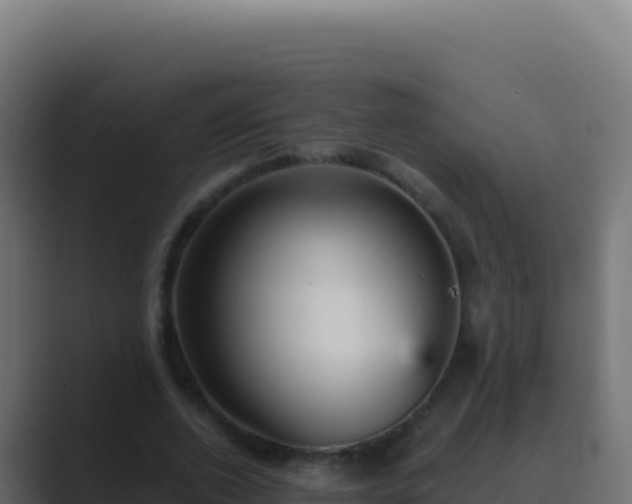 X0000089750728200706281625