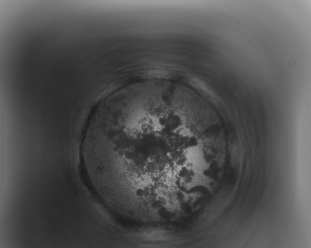 X0000089750729200706281625