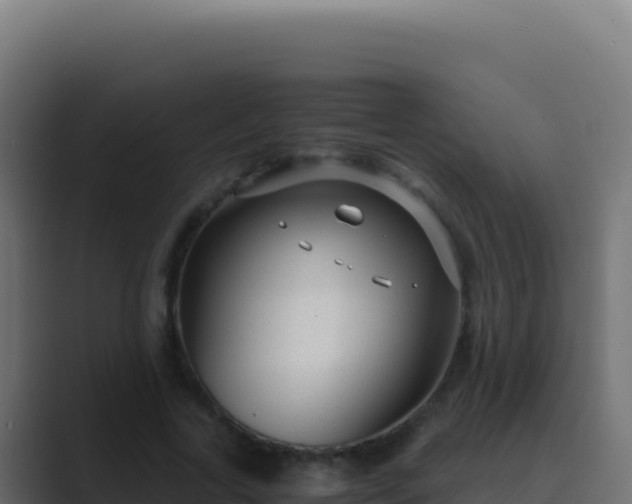 X0000089750731200706281625