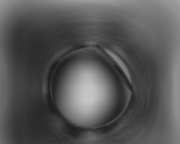 X0000089750732200706281625