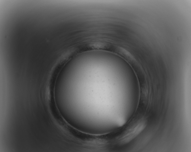 X0000089750734200706281625