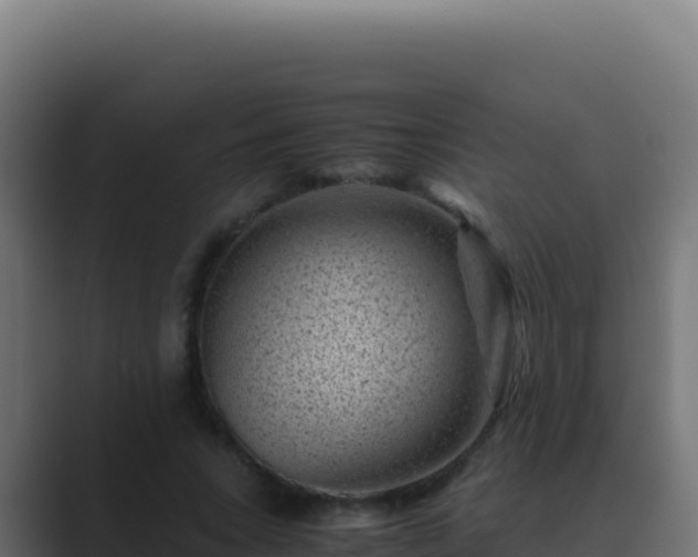 X0000089750735200706281625