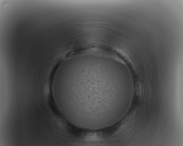 X0000089750740200706281625