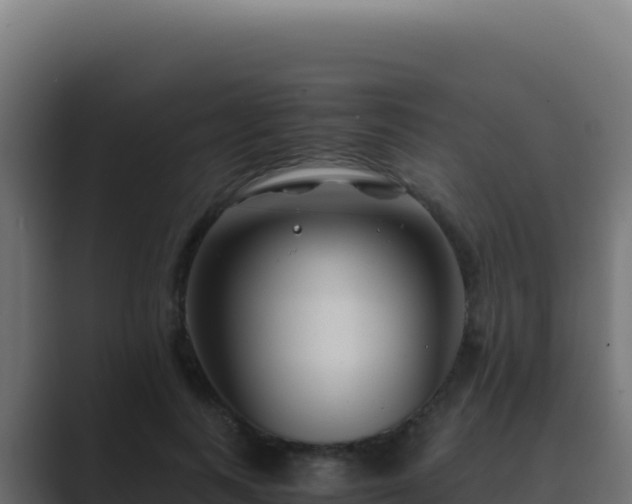 X0000089750743200706281625