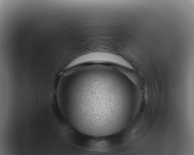 X0000089750747200706281625