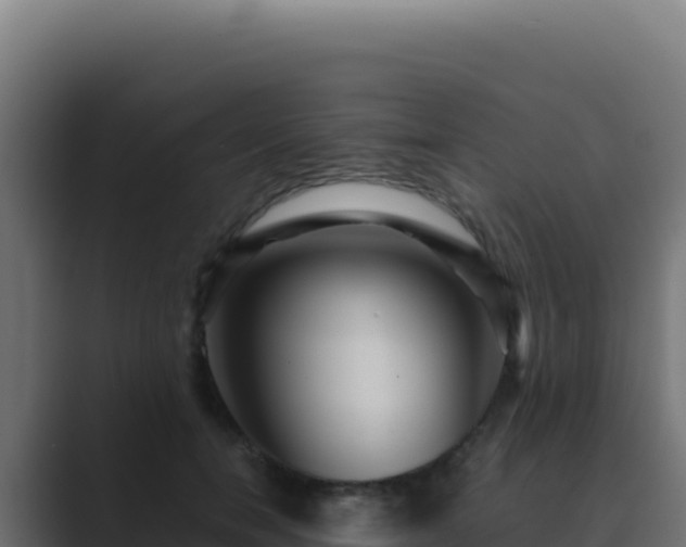 X0000089750750200706281625